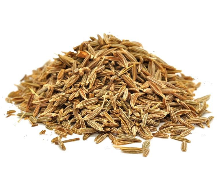 Brewing Supplies Online Caraway Seed