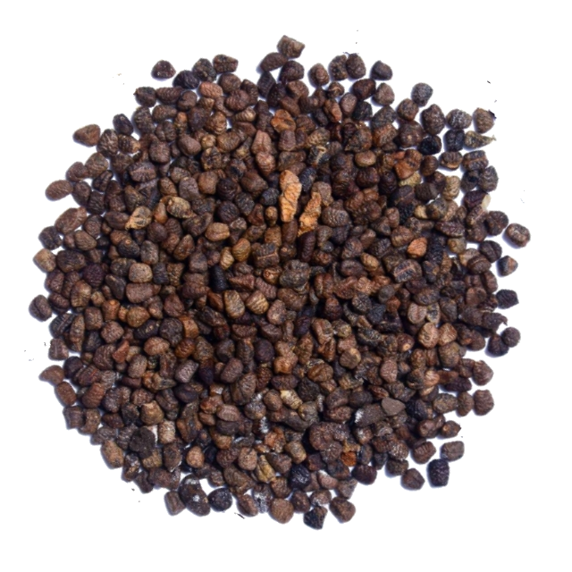 Warwick's Brewing Supplies Cardamon Seed