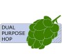  Azacca Hop Pellets 50g