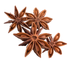 Warwick's Brewing Supplies Star Anise